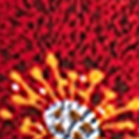 498765794485-99.jpg